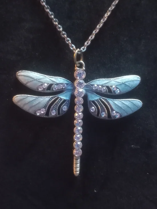 Hand Crafted Silver Dragonfly Necklace with Light Blue Accents - Picture 2 of 2